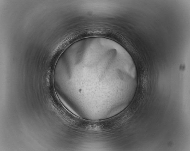 X0000114990735200911091334