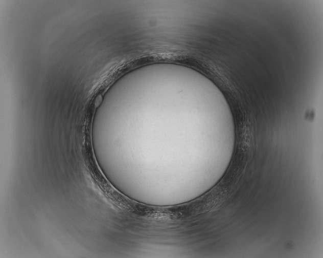 X0000114990738200911091334