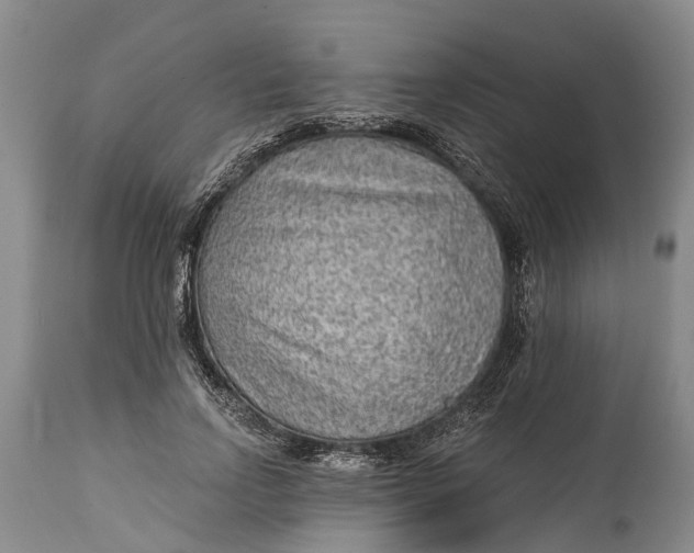 X0000114990742200911091334