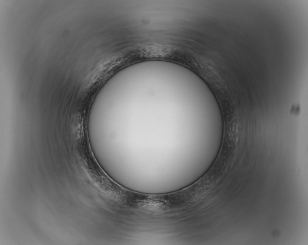 X0000114990743200911091334