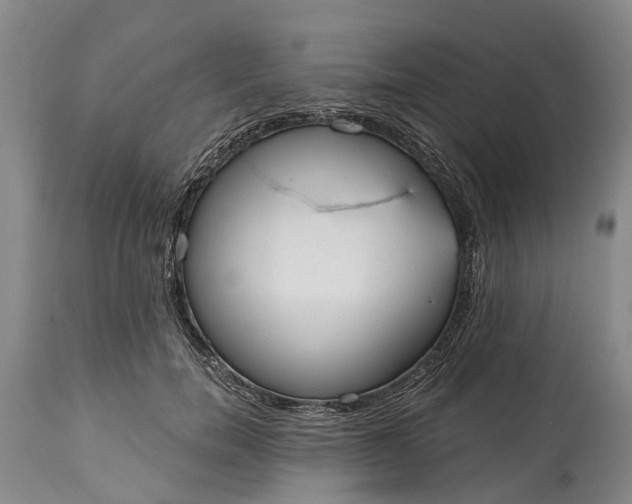 X0000114990750200911091334