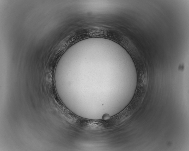 X0000114990753200911091334