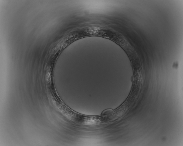 X0000114990754200911091334