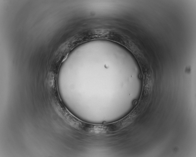 X0000114990758200911091334