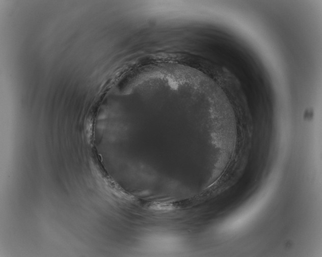 X0000114990767200911091335