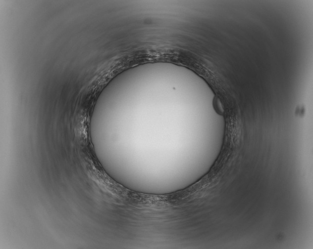 X0000114990770200911091334