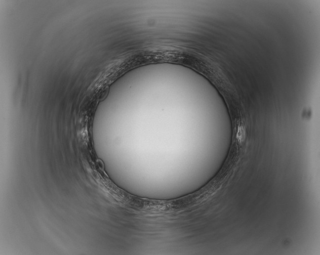 X0000114990771200911091334