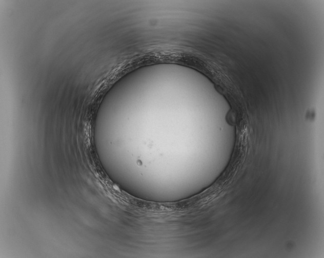X0000114990772200911091334