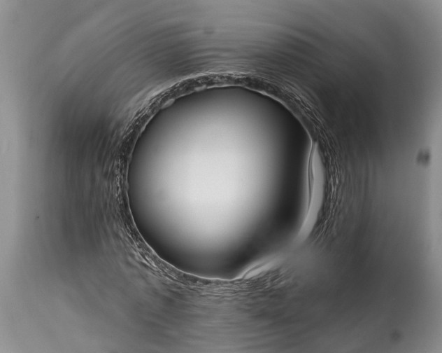X0000114990773200911091334
