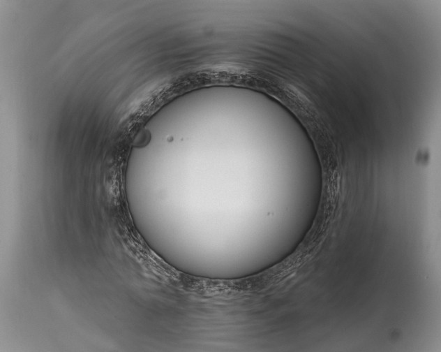 X0000114990774200911091334