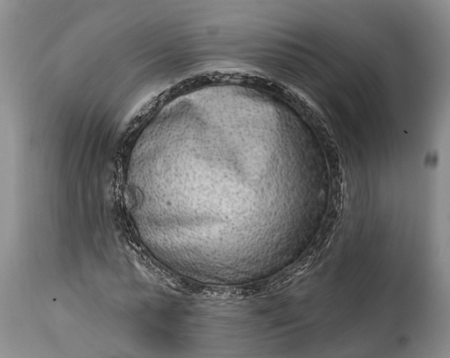 X0000114990775200911091334