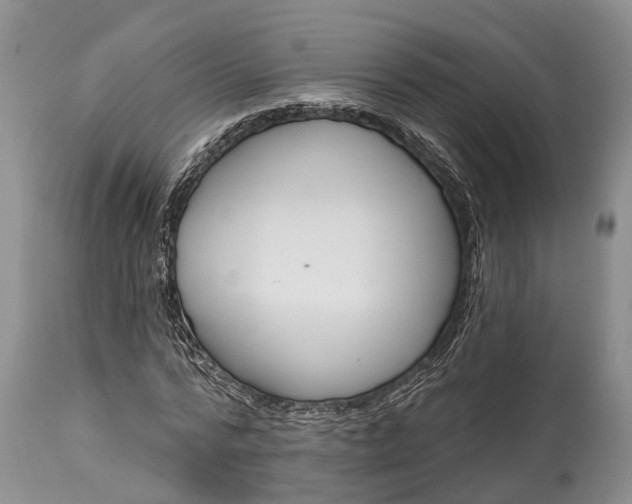 X0000114990776200911091334