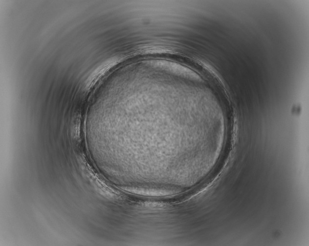 X0000114990777200911091334