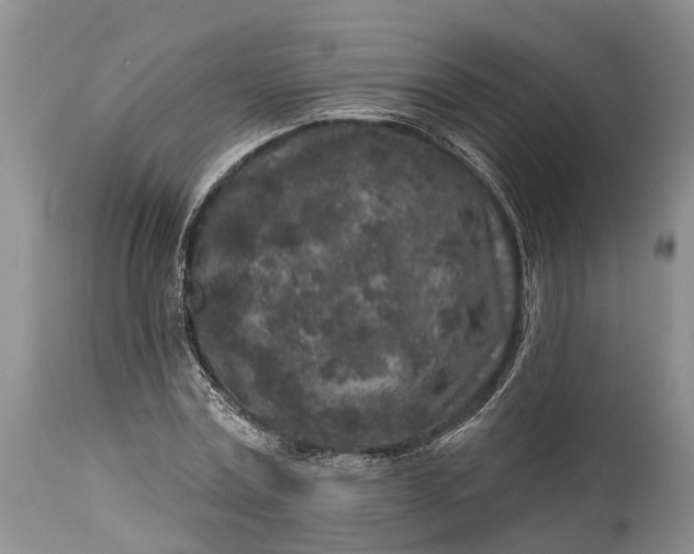 X0000114990779200911091334