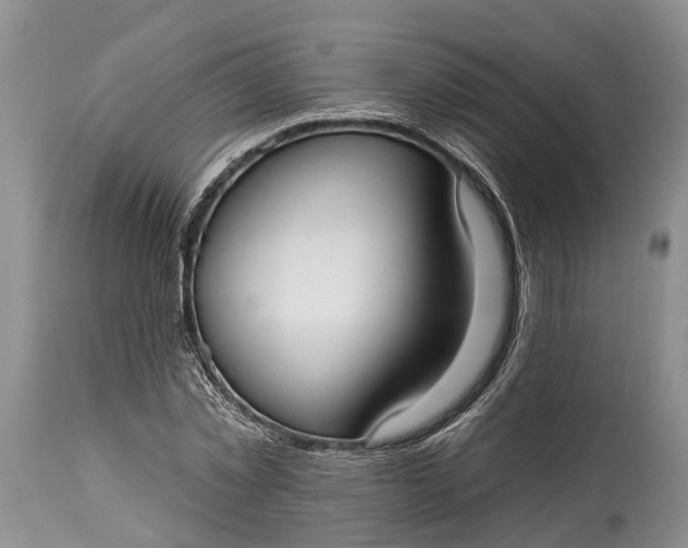 X0000114990781200911091334