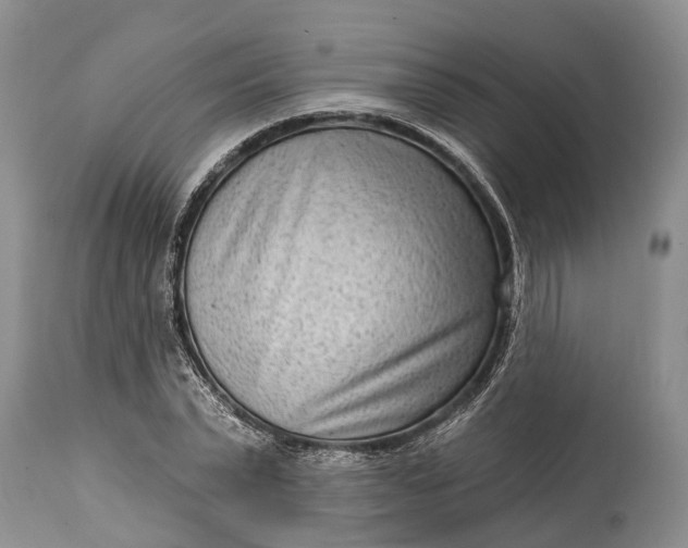 X0000114990783200911091334