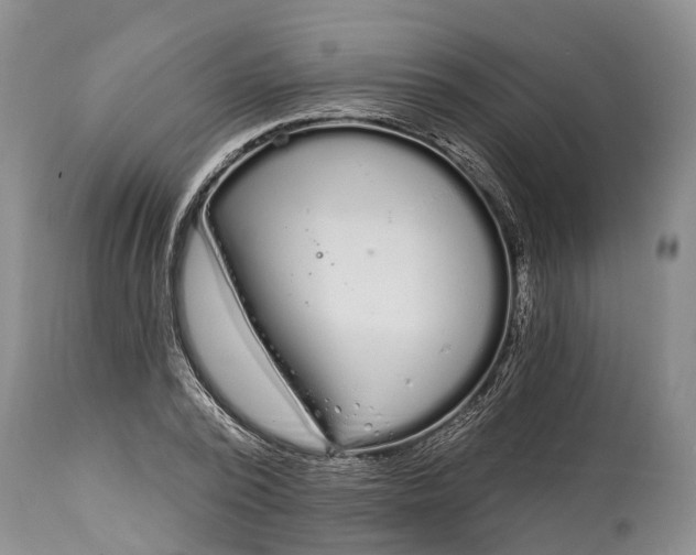 X0000114990784200911091334