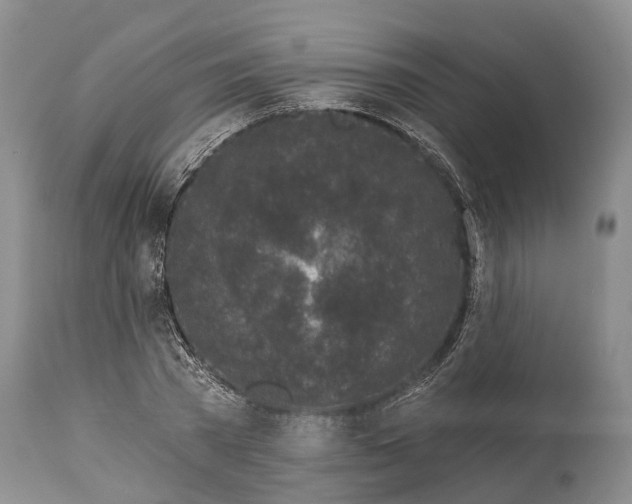 X0000114990785200911091334