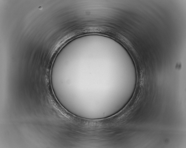 X0000114990786200911091334