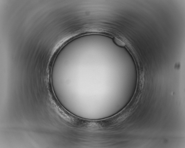 X0000114990787200911091334