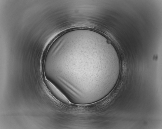 X0000114990788200911091334