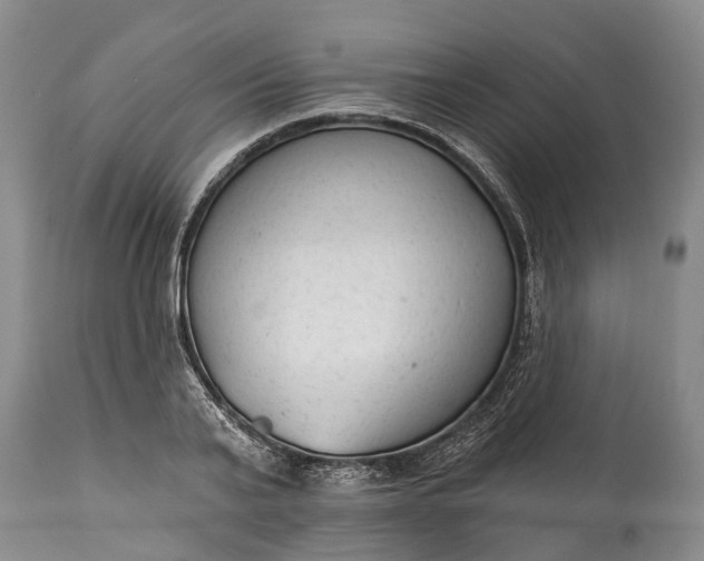X0000114990791200911091334