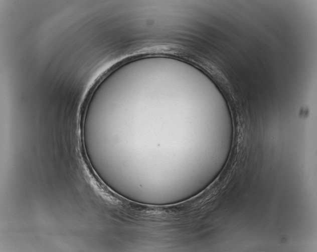 X0000114990792200911091334