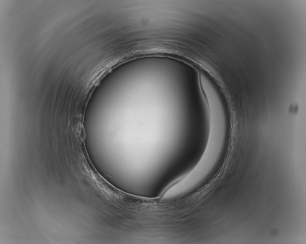 X0000114990793200911091334