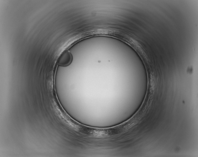 X0000114990794200911091334