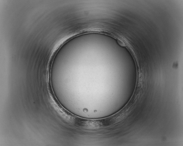 X0000114990795200911091334