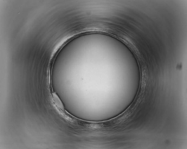 X0000114990796200911091334