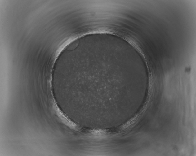 X0000114990797200911091334