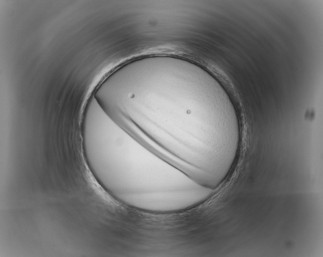 X0000114990800200911091334