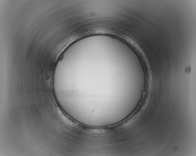 X0000114990801200911091333