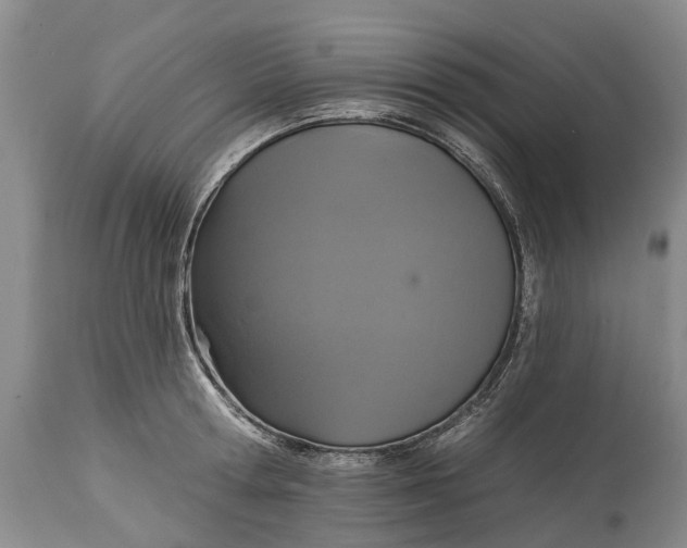 X0000114990802200911091333