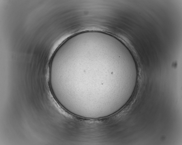 X0000114990804200911091333
