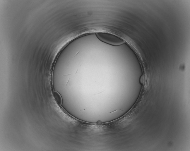 X0000114990805200911091333