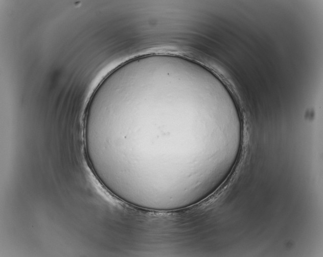 X0000114990808200911091333