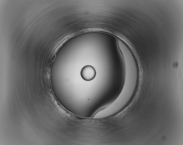 X0000114990809200911091333