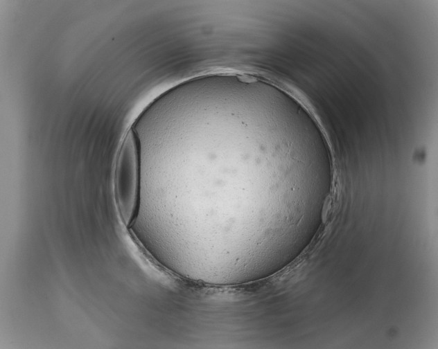 X0000114990811200911091333