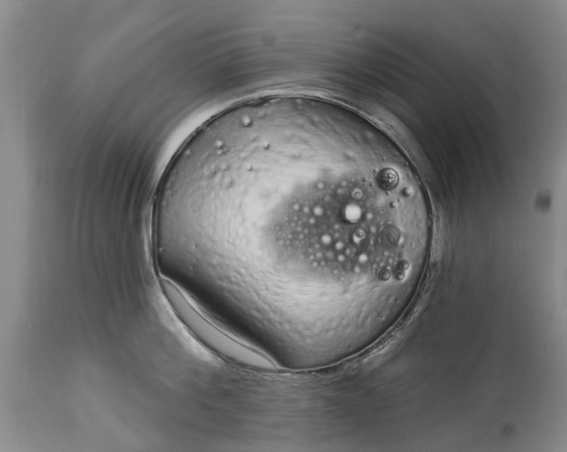 X0000114990812200911091333