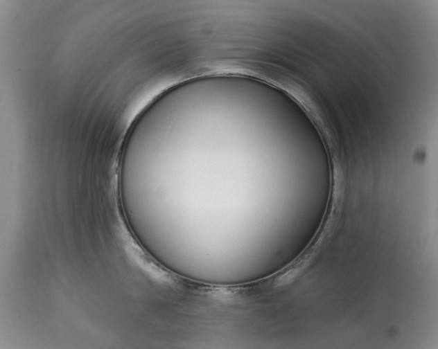 X0000114990814200911091333