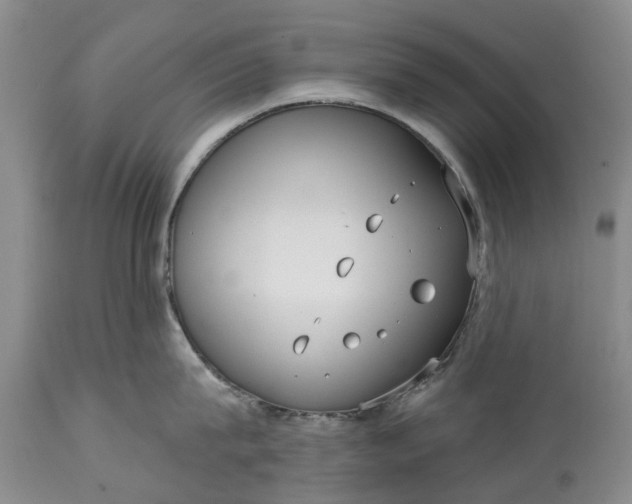 X0000114990815200911091333