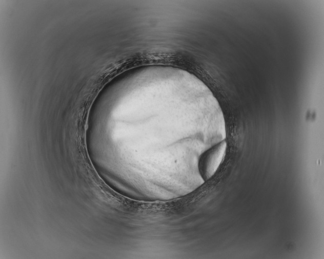 X0000114990817200911091332