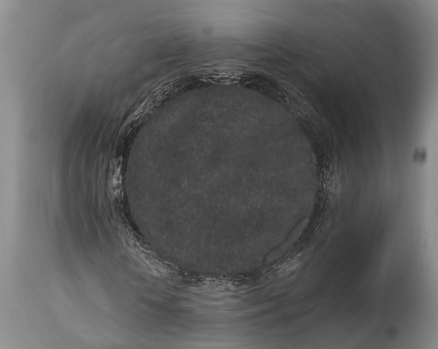 X0000114990818200911091332