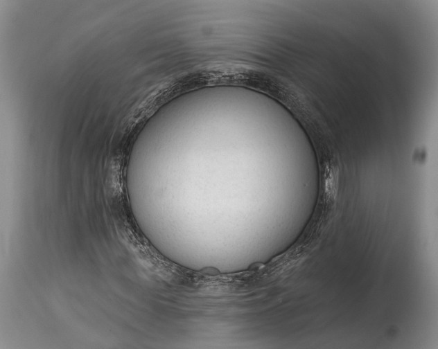 X0000114990819200911091332