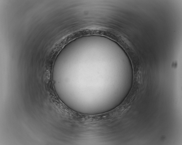 X0000114990821200911091333