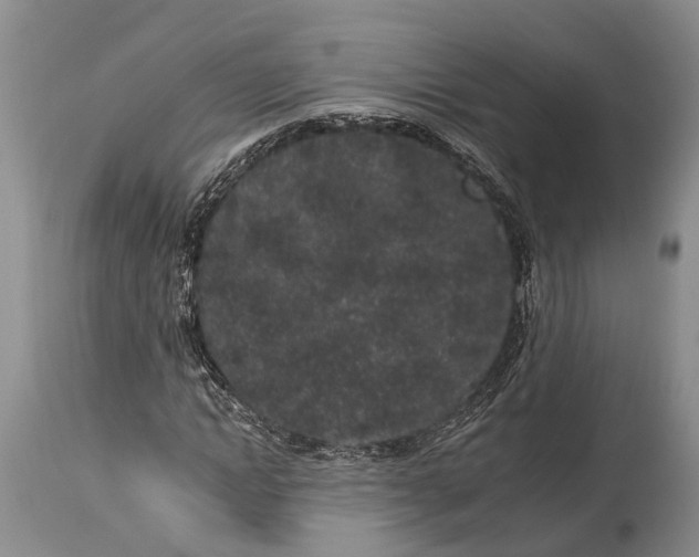 X0000114990822200911091333