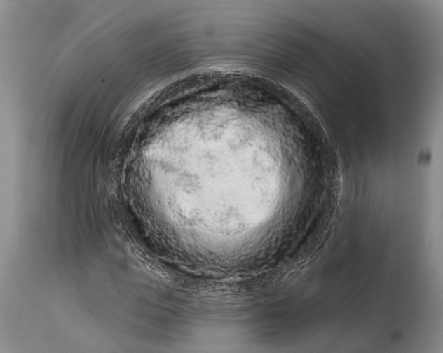 X0000114990823200911091333