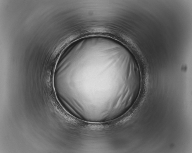 X0000114990825200911091333
